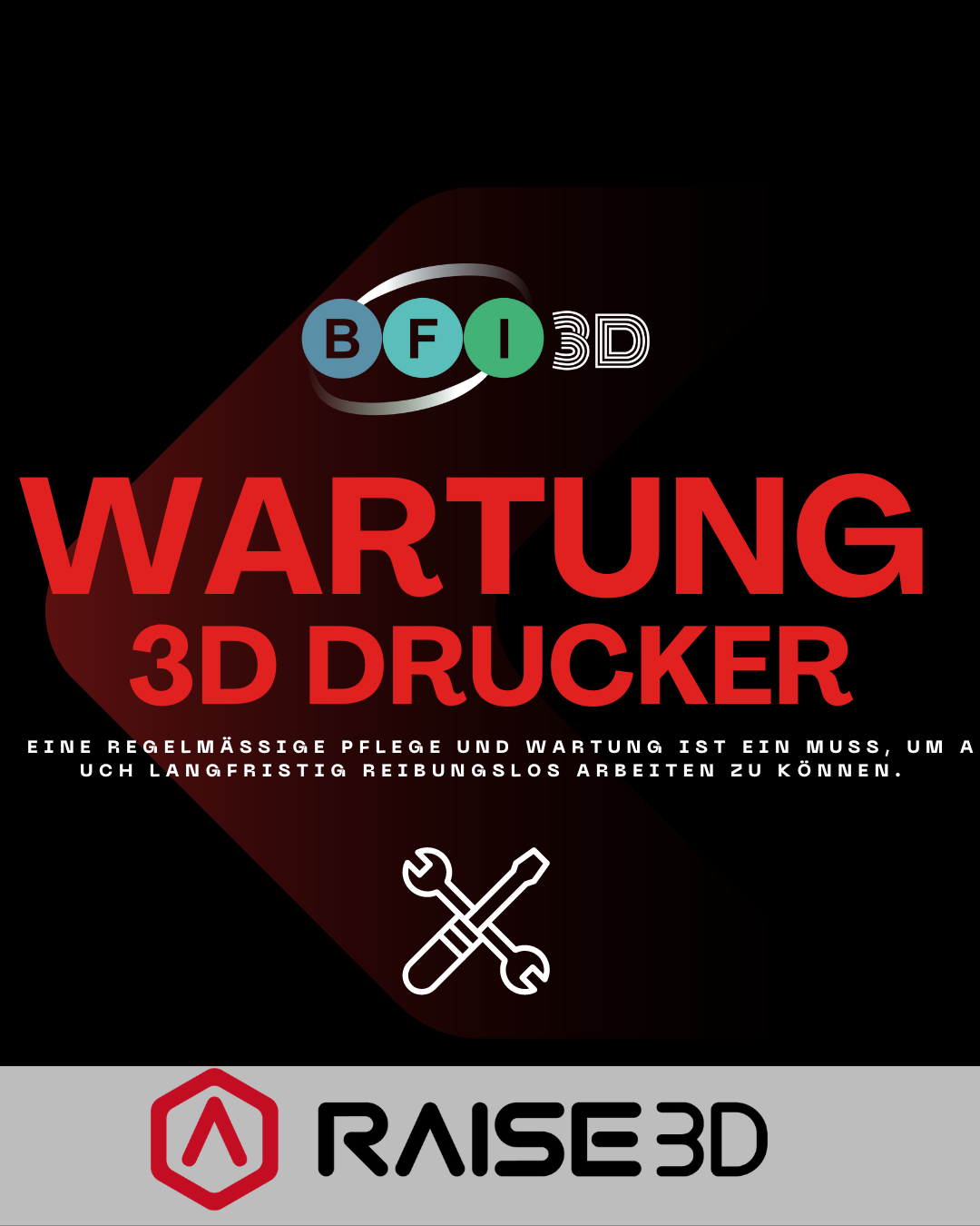 Raise3D 3D-Drucker Wartung