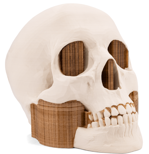 3DXTech Simubone Bone/Knochen Modeling Filament 